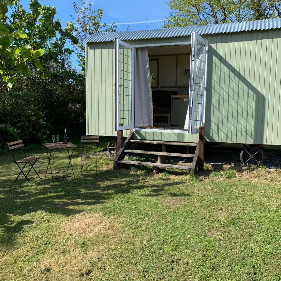 Hillcrest Hut Apartamento Tenby Exterior foto