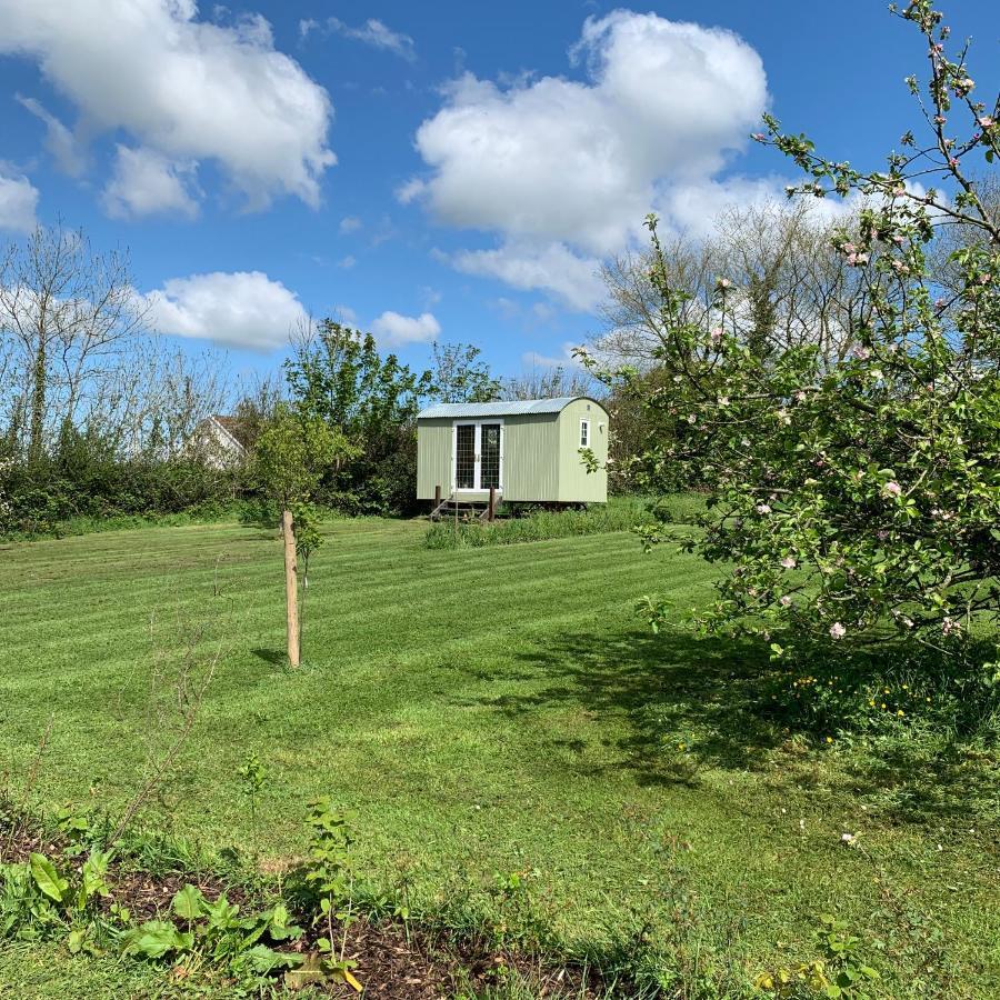 Hillcrest Hut Apartamento Tenby Exterior foto